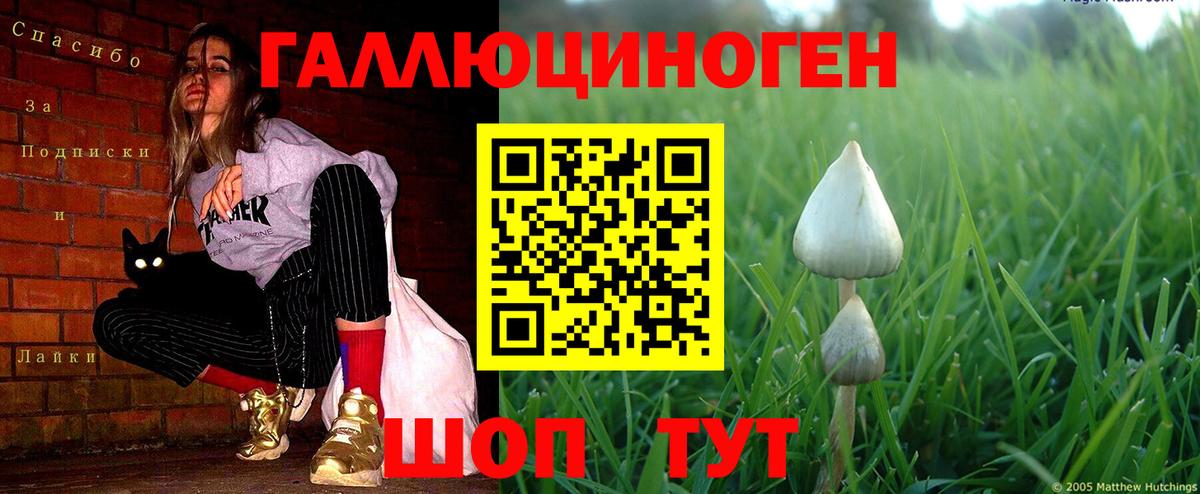 продажа наркотиков  Галлюциногенные грибы Cubensis  Вход с VPN  Джанкой 